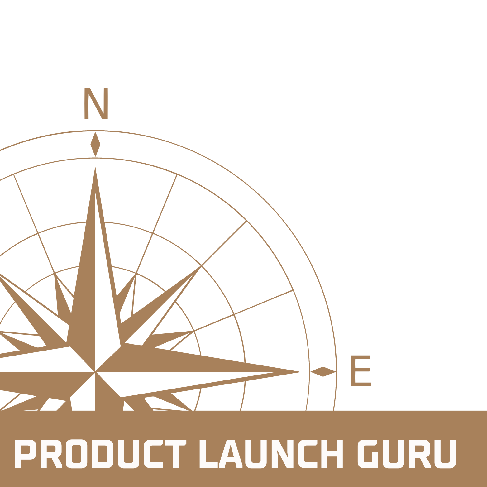 Product Launch Guru